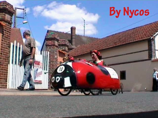 Coccinella 012.jpg